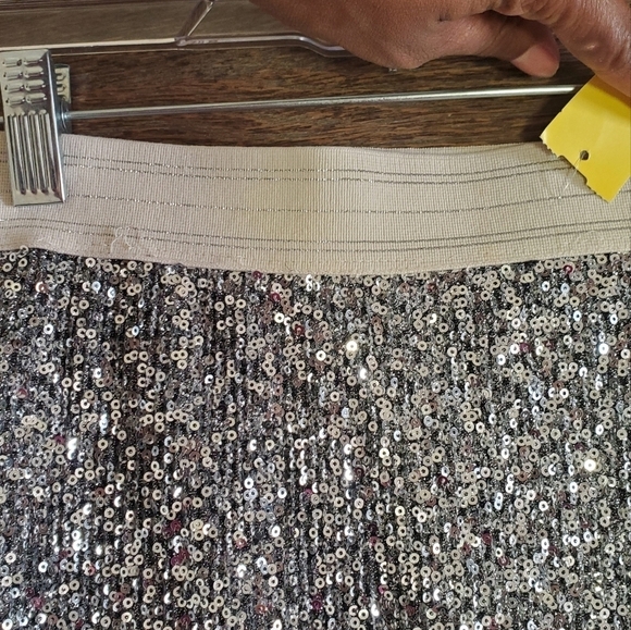 ZARA Basic Women's Silver Sequin Skirt  White Elastic Waistband lined Size XS - Picture 2 of 5